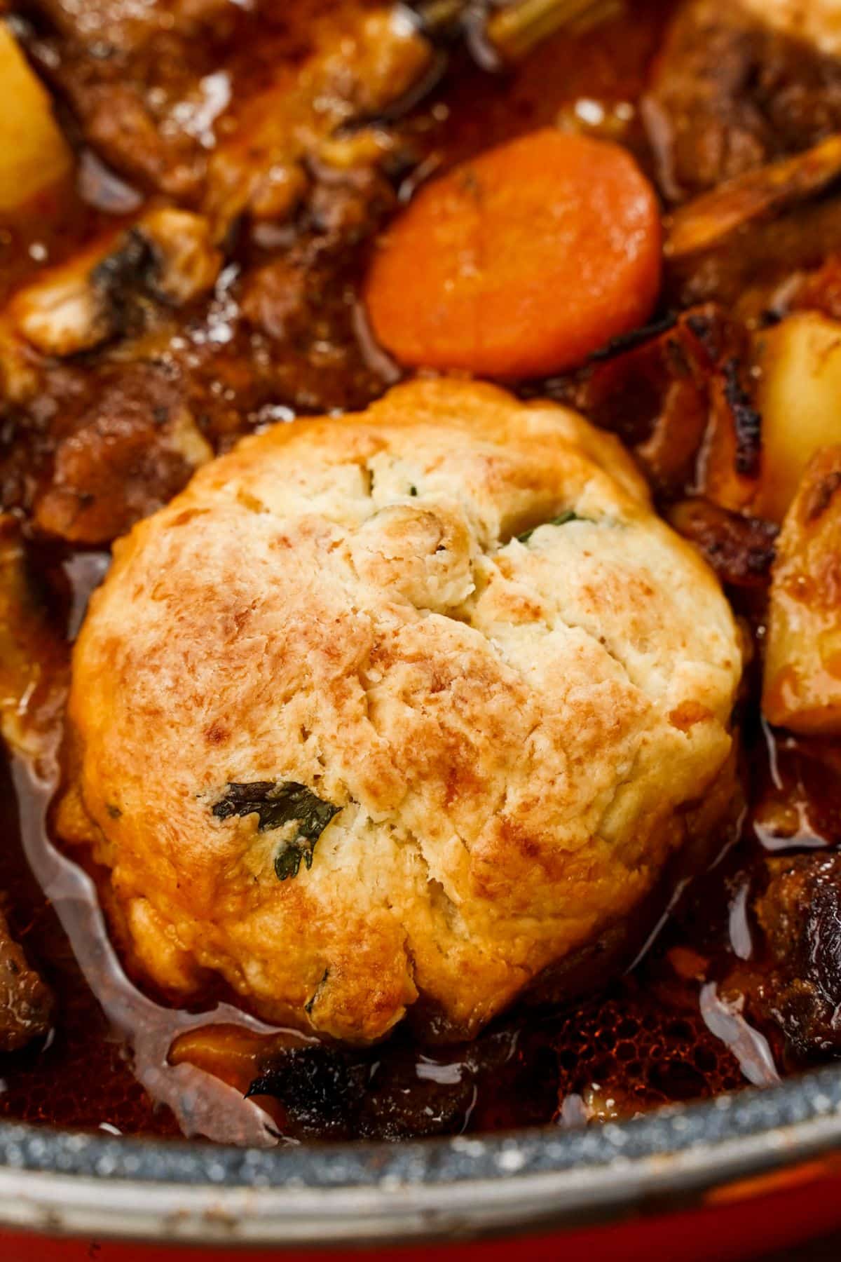 beef stew in stockpot topped with biscuit